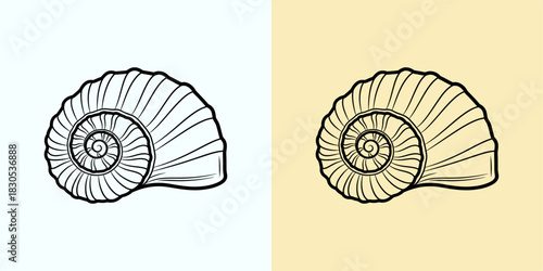 Elegant Nautilus Shell Illustration Spirals, Lines, and Textures in Vector Art