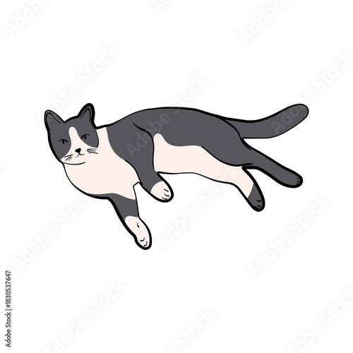 Sleeping cute cat in a lying pose. Cartoon pet kitten perfect for stickers, stationery, prints and pet-themed designs
