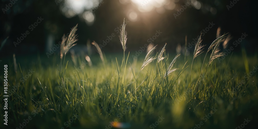 Fototapeta premium Business professionals analyzing quarterly revenue data and marketing strategies, teamwork in a corporate meeting setting