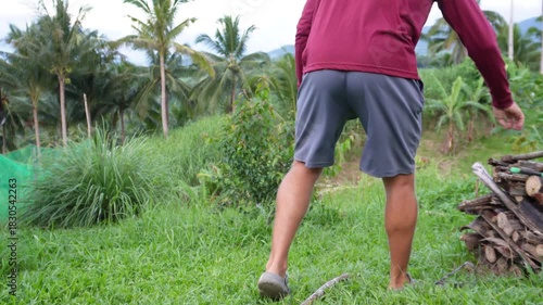 Young man putting a stick beside a plant. 