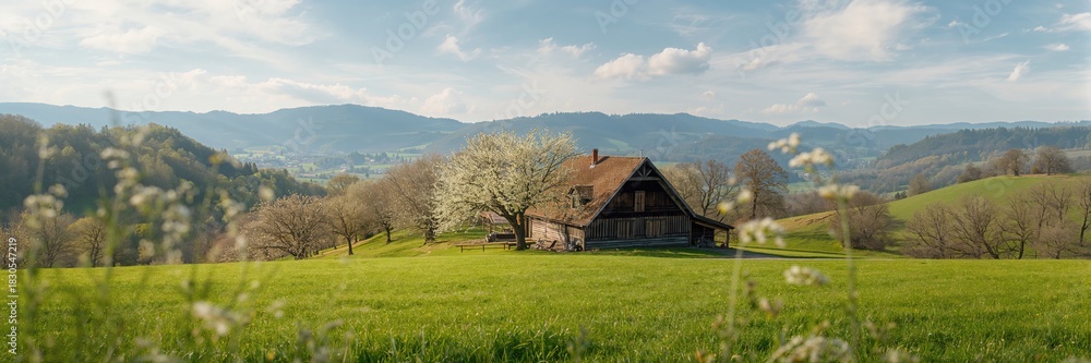 Fototapeta premium Summer landscape in the countryside, emphasizing seasonal change and rural scenery
