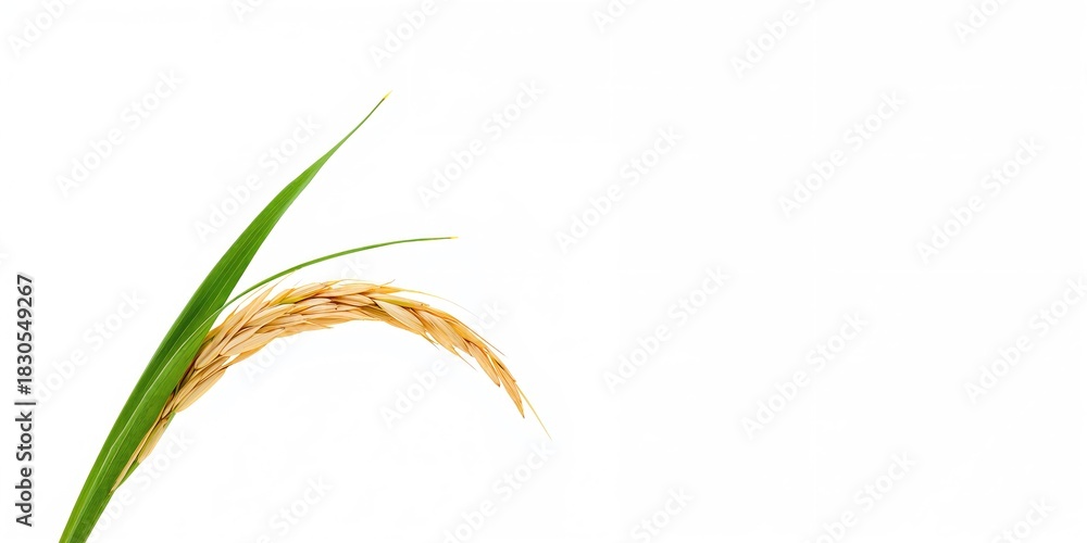 Naklejka premium 3d circular road illustration with asphalt texture used in highway design, advertising layout, noise effect, Earth Day