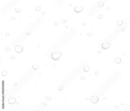 Wallpaper Mural Realistic water drops. PNG drops, condensation on the window, transparent water drop. Abstract water drops, bubbles on transparent background, digital liquid design, Stock royalty free	 Torontodigital.ca