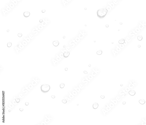 Wallpaper Mural Realistic water drops. PNG drops, condensation on the window, transparent water drop. Abstract water drops, bubbles on transparent background, digital liquid design, Stock royalty free	 Torontodigital.ca