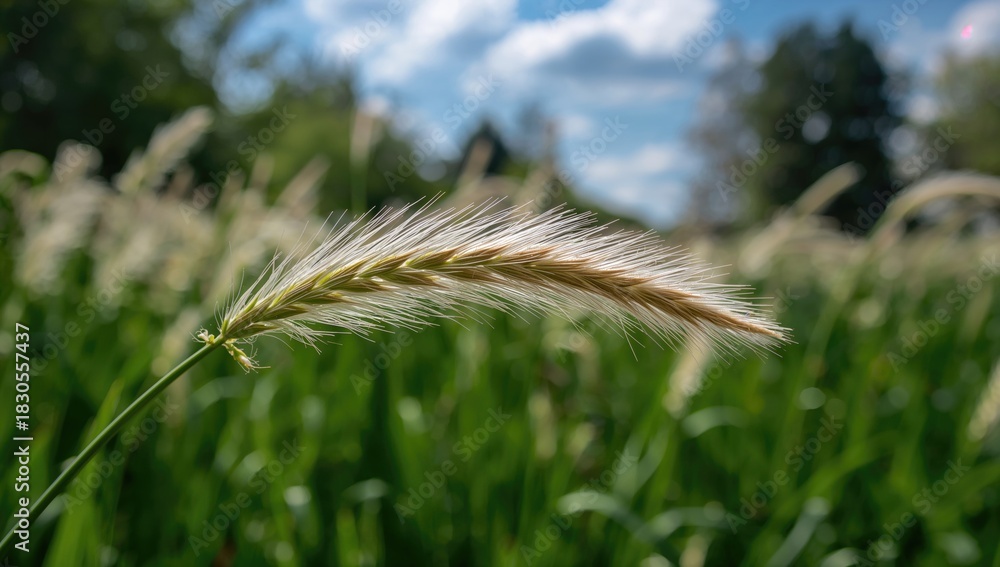 Naklejka premium Close-up of fresh green grass blades in a garden plot