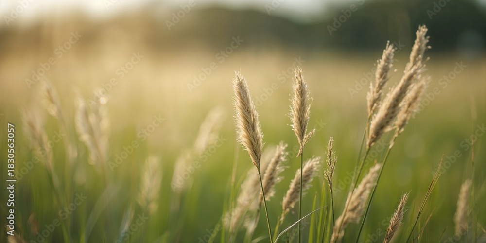 Obraz premium High-voltage electrical component in a cell, focusing on safety and insulation measures