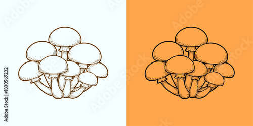 Enokitake Mushroom Clusters Line Art Illustration for Culinary and Scientific Purposes