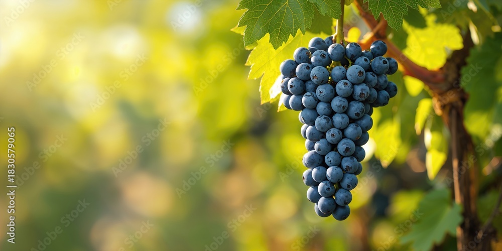 Fototapeta premium Oil refinery pipeline at dusk, emphasizing industrial safety and maintenance procedures