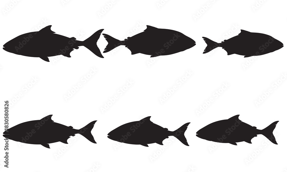 Fototapeta premium A row of black fish silhouettes swimming in a line silhouette