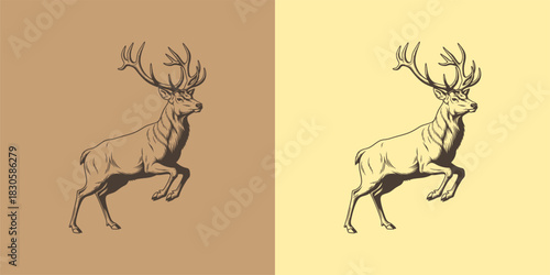 Elegant Reindeer Illustration on Split Background for Rustic and Nature-Themed Design