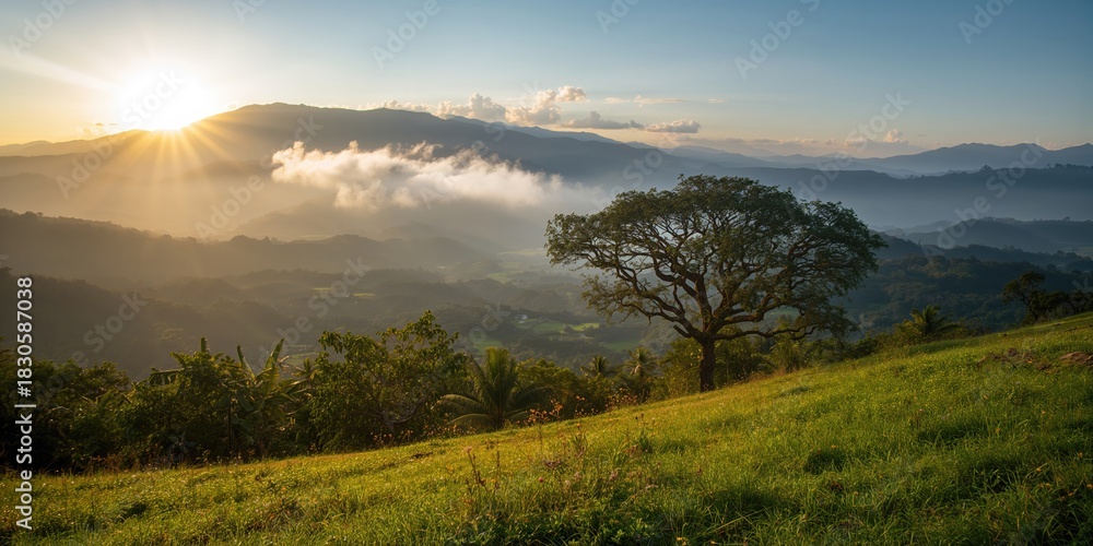 Fototapeta premium Small green planet with lush trees and open meadow under bright sun, emphasizing Earth's natural landscape, Earth Day