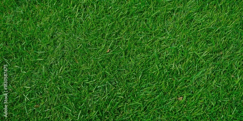 Wallpaper Mural Great River slowly winds through the landscape, emphasizing erosion risk during seasonal change Torontodigital.ca