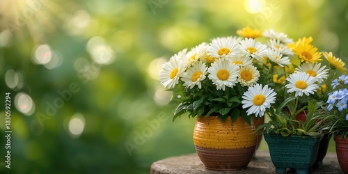 Fototapeta Naklejka Na Ścianę i Meble -  Colorful flowers in pots serving as a garden background, emphasizing summer blooms and spring greenery