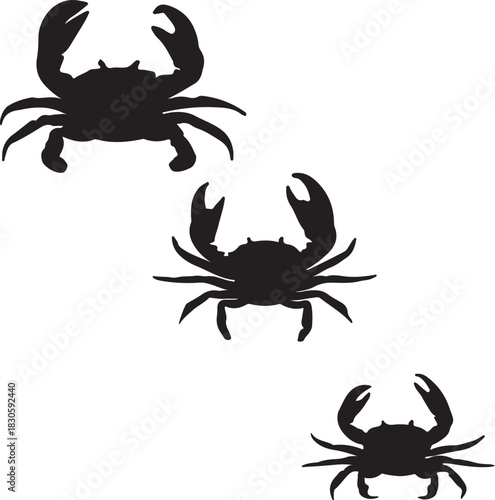 Three Crab Silhouettes Set - Vector Icons of Marine Life and Seafood