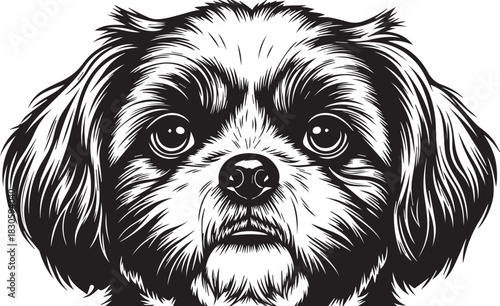 Striking black and white line art illustration of a fluffy dog's head. Detailed and expressive vector portrait of a cute canine