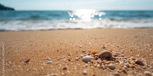 Fototapeta Naklejka Na Ścianę i Meble -  Starry savannah night sky as a backdrop, suitable for nature photography backgrounds