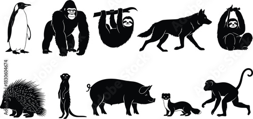 Animal silhouette icon set, black vector wildlife poses, penguin gorilla sloth wolf pig monkey meerkat porcupine ferret illustrations