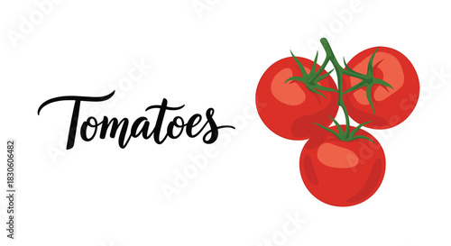 A simple and fresh graphic with 'Tomatoes' in black script lettering next to a realistic illustration of three red tomatoes on the vine.