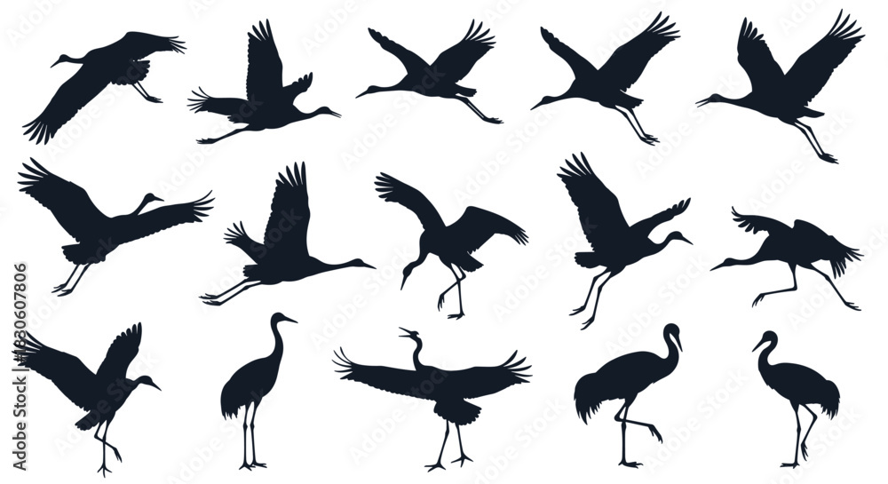 Fototapeta premium A comprehensive set of sixteen black silhouettes showing Japanese cranes in a wide variety of flying landing standing and dancing poses.