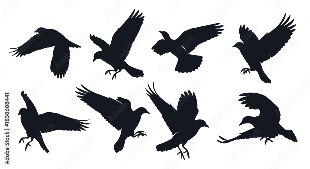 Naklejka premium A set of eight dynamic silhouettes of crows or ravens in various stages of flight including landing and taking off.