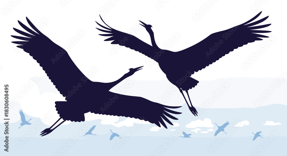 Fototapeta premium Two large crane silhouettes fly gracefully in the foreground with a larger flock migrating in the distant cloudy sky.