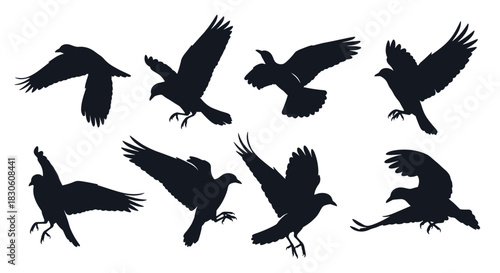 A set of eight dynamic silhouettes of crows or ravens in various stages of flight including landing and taking off.