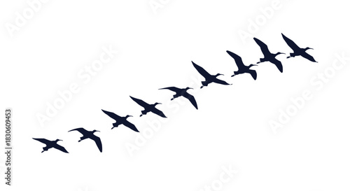 Black silhouette of a flock of migrating geese or ducks flying together in a diagonal line on a clean white background.