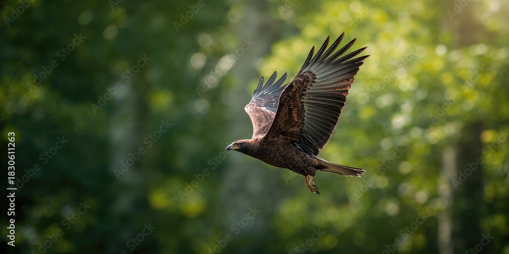 Obraz premium Ground squirrels foraging outdoors, emphasizing natural foraging behavior, wildlife observation