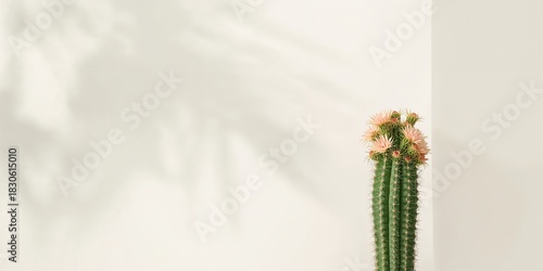 Woman cleaning bathroom surfaces, emphasizing hygiene and maintenance practices