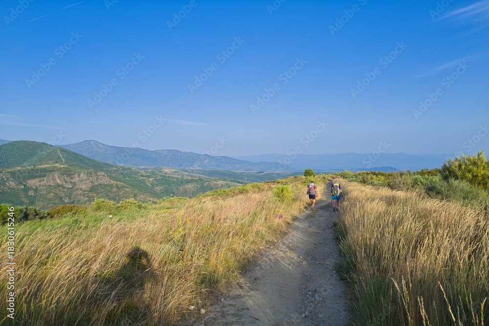 Obraz premium 길거리, 경관, sky, 네이처, 들판, 목초, 농촌, 경로