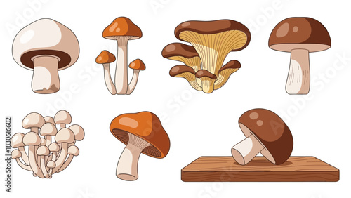 Assorted cartoon mushrooms illustration for food and nature designs