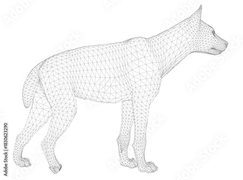 Hyena wireframe model composed of geometric shapes and lines on a white background. This detailed vector illustration creates a realistic animal structure for design projects.