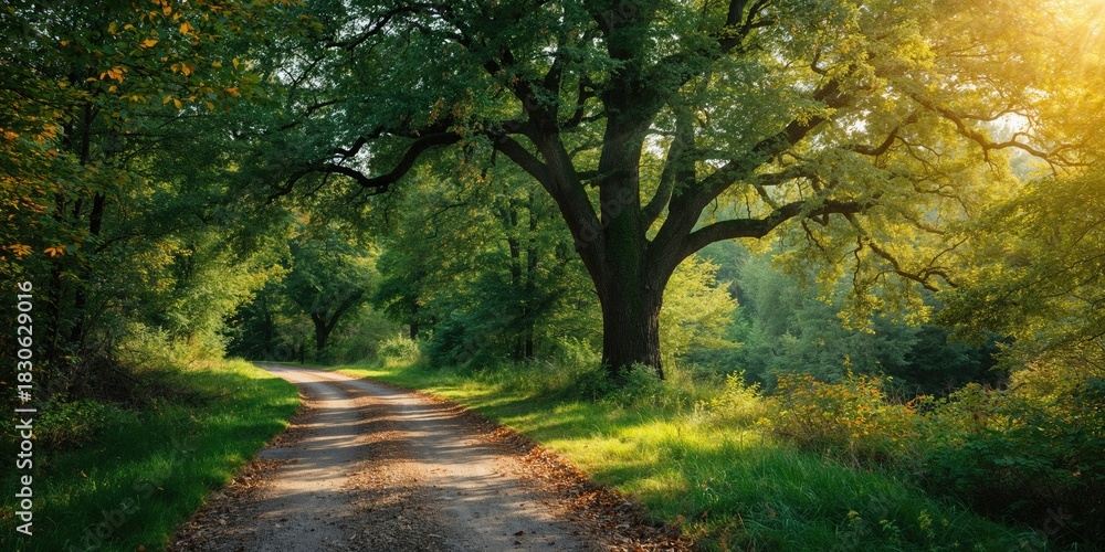 Naklejka premium Colorful Easter eggs arranged in a nest on a white background used for seasonal decor, Easter celebration