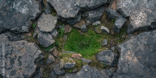 Fototapeta Naklejka Na Ścianę i Meble -  Small blond dog lying asleep on a street with a young pet puppy, animal, street scene, canine, daytime