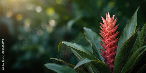Heart shaped gift box decorated with flower in a wedding celebration, emphasizing gift presentation for special occasions