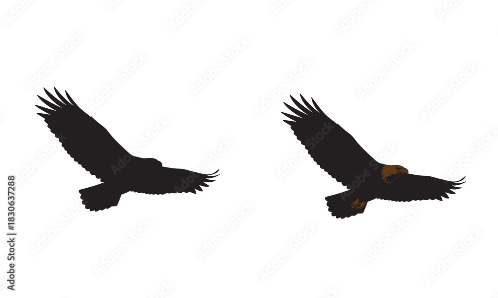 Obraz premium Two eagles flying silhouette with adobe illustrator logo