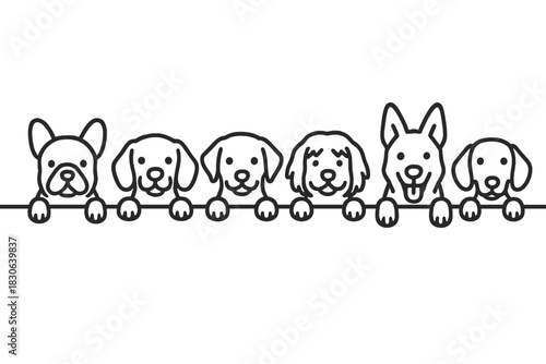Adorable puppy faces peeking over a blank horizontal border or banner line