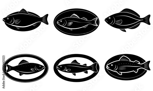 Classic fish species illustrations for seafood menus and fishing guides, vintage vector graphics in black and white for restaurant branding and design