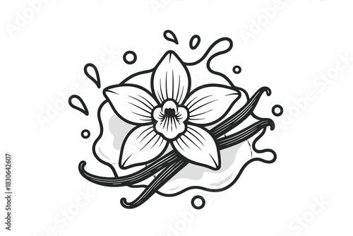 Detailed vanilla orchid flower and pods with swirling liquid splash in monochrome