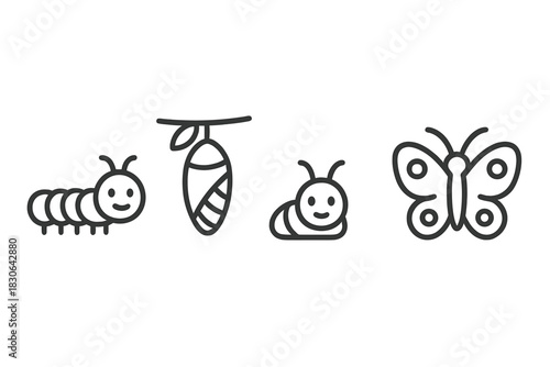 Life cycle stages of butterfly metamorphosis from larva to pupa and winged insect