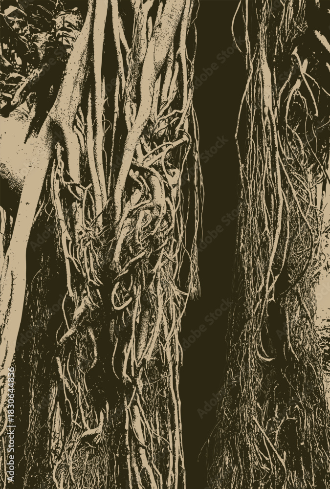 Fototapeta premium Vector banner with a realistic tree, banyan or ficus, with roots and branches in a gothic style. Scary, magical, fairytale like, and mystical. Suitable for Halloween party design. No ai