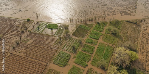 Aerial view of farmland sub...