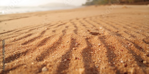 Red sea sand; natural shore...