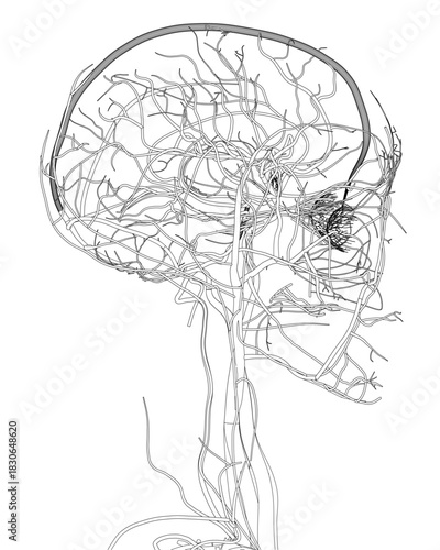 A black and white illustration of a man's head with an intricate tree growing from it, symbolizing the human circulatory system with vein-like branches and leaves.