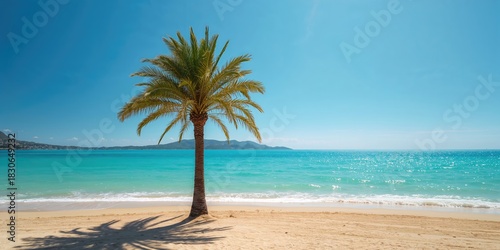 Fototapeta Naklejka Na Ścianę i Meble -  A colorful flower in the garden background, emphasizing botanical beauty and seasonal bloom in autumn, Earth Day