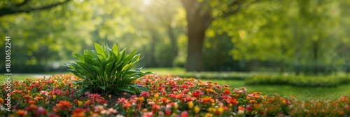 Green plant in a flower bed...