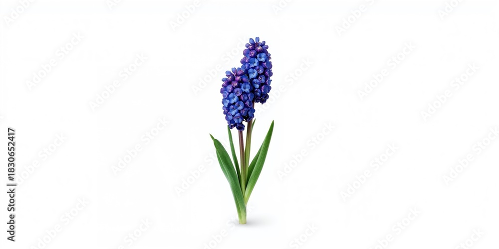 Fototapeta premium Forged metal decorative elements shaped into curls, circles, flowers, and leaves mounted on a white stand, used for artistic design, Earth Day