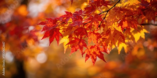 Interior of a kitchen featuring functional architecture for efficient space utilization, design for maintenance and repair