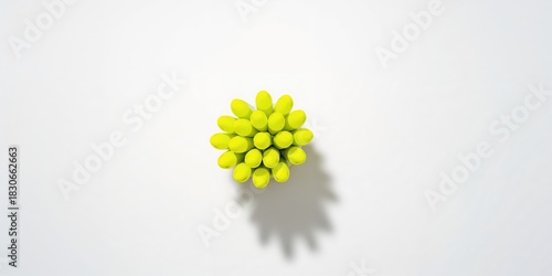 Rotten leaf lettuce on a ve...