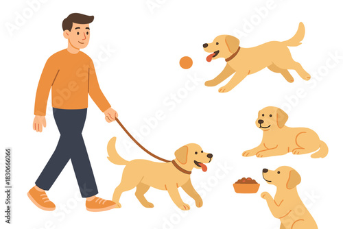 Golden Retriever puppy poses set with owner walking dog on leash and playing